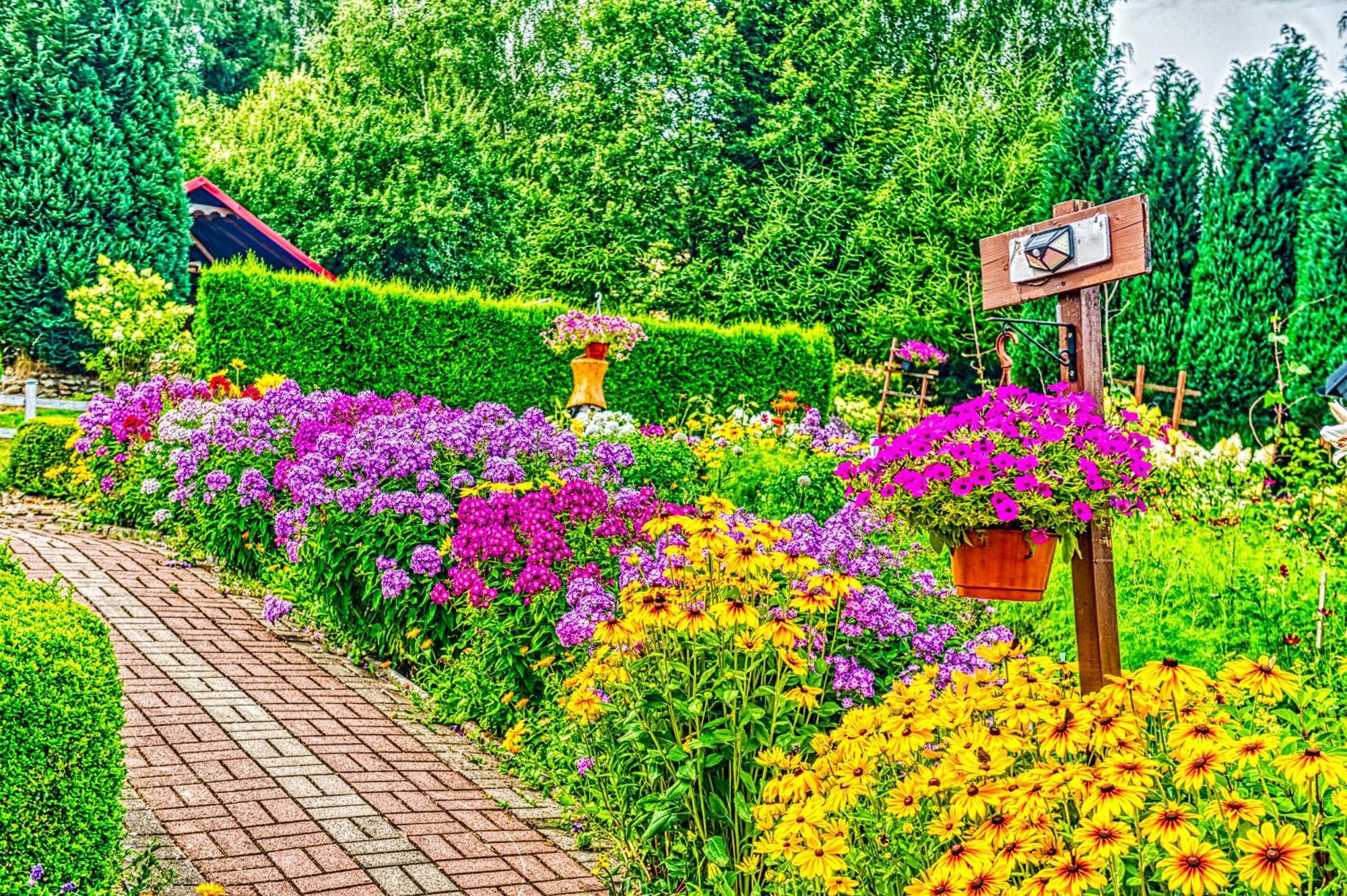 Gleboki Jar Apartment Swieradow-Zdroj Exterior photo