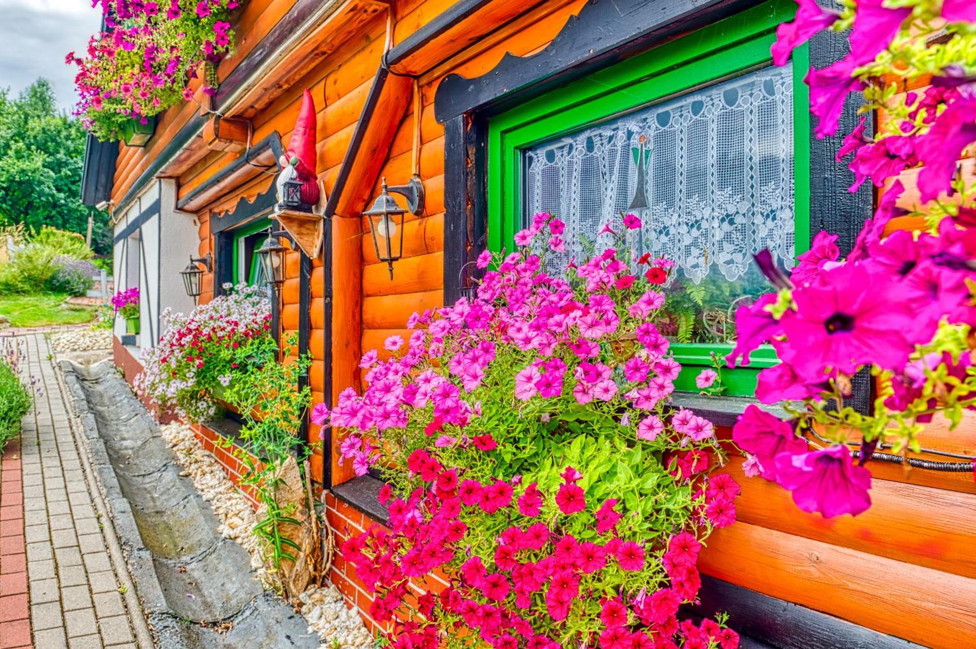 Gleboki Jar Apartment Swieradow-Zdroj Exterior photo